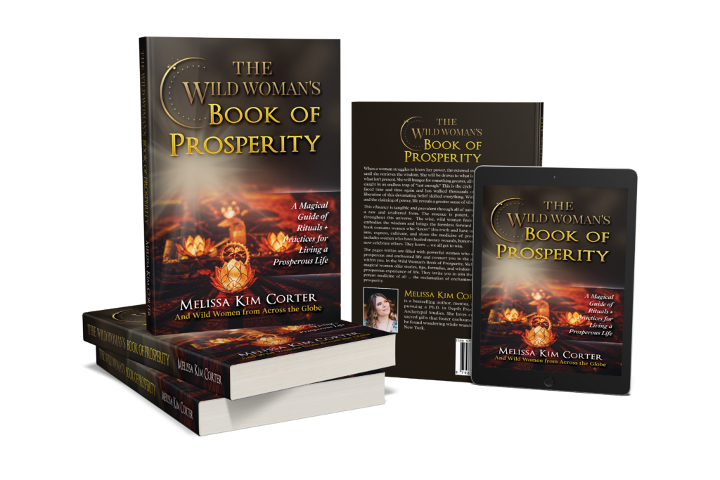 Wild Woman's Book of Prosperity